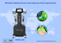 低レベル 6D レーザー脂肪は 532nm 緑 635nm 赤色光療法コールド レーザー療法装置を減らします