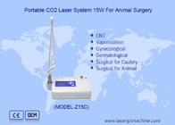 動物手術のための携帯LCD獣医用CO2レーザー Co2レーザー手術装置