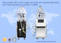 機械高性能をきつく締めるHO608水酸素のジェット機の皮機械顔の皮