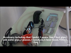 E11C携帯用2in1は装置DPLの毛の取り外しのYagレーザーの入れ墨の取り外し選択する