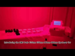 635nm 650nm 940nm 980nm ダイオードレーザー EMSプレート脂抜き 痩せ機