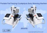 脂肪質機械を細くする携帯用650nm Cryolipolysisボディ6 In1を凍らせている