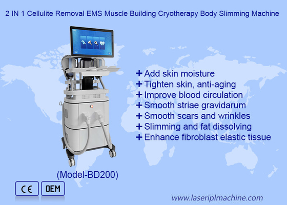 EMS RF 筋肉構築 40k カビテーション 360 クリオセラピー 脂肪冷凍機