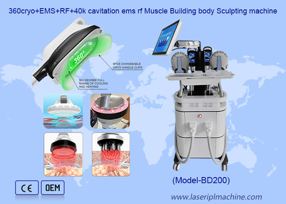 2 イン 1 セルライト除去 EMS 筋肉構築 クリオセラピー 痩せ機