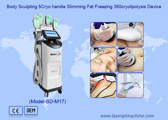 機械減量の美装置を細くする専門の Cryolipolysis