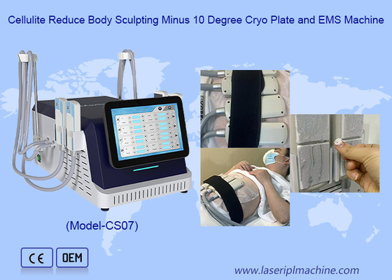 2 in 1 クリオプレートと EMS スライミングマシン 脂肪凍結 肌の緊縮