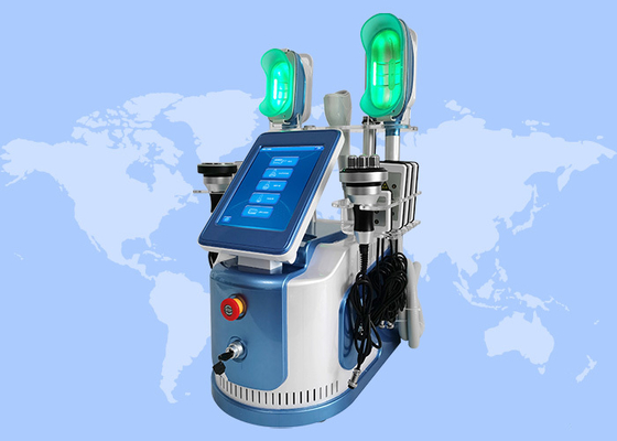美容院のための機械を細くする Cryolipolysis 多機能の冷却のボディ