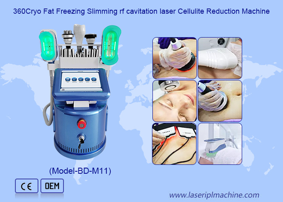 ボディ/皮のための機械を形成細くする有効な 650nm Cryolipolysis はきつく締まります
