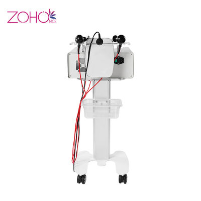 良い値段 皮の若返り220v Rfの美機械RET CETを形づける脂肪質のナイフ ボディ オンライン