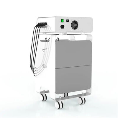 良い値段 Emsの無線周波数のEswt装置の背部痛みの軽減のヘルスケア オンライン