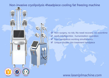 機械真空のキャビテーションRf機械を細くするCryolipolysisの脂肪質の凍結の損失