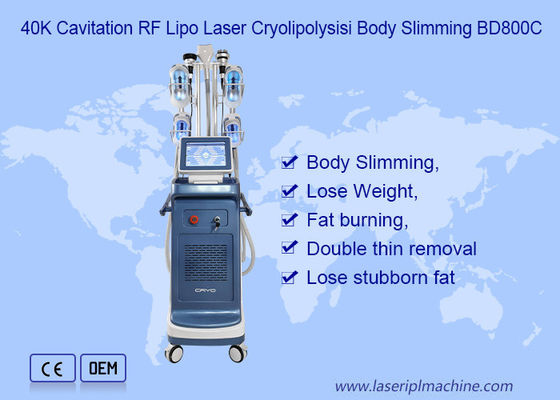 9つ機械を細くする1つの真空800VA Cryolipolysisに付き