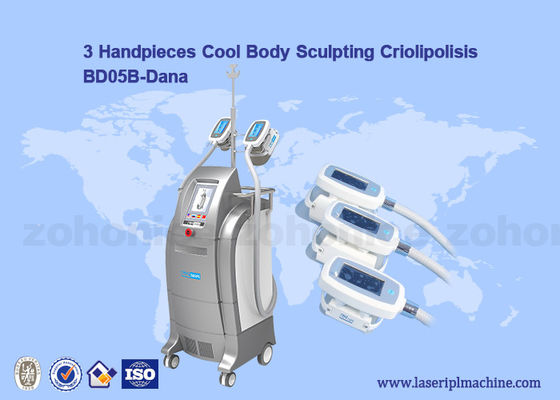 良い値段 Cryolipolysis/涼しいボディ彫刻の膜/Criolipolisis のセルライトの減少機械に掃除機をかけて下さい オンライン