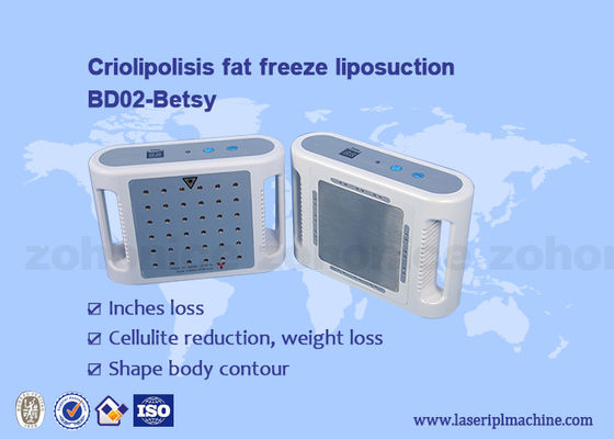 良い値段 公認セリウムを細くする小型携帯用減量レーザーLipo機械専門650nm オンライン