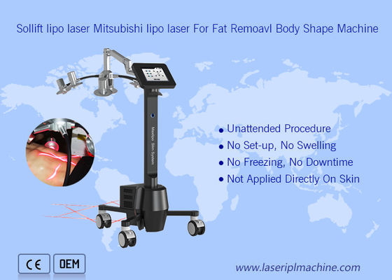 良い値段 220v携帯用Cryolipolysis機械6d Lipolaser Zerona美 オンライン