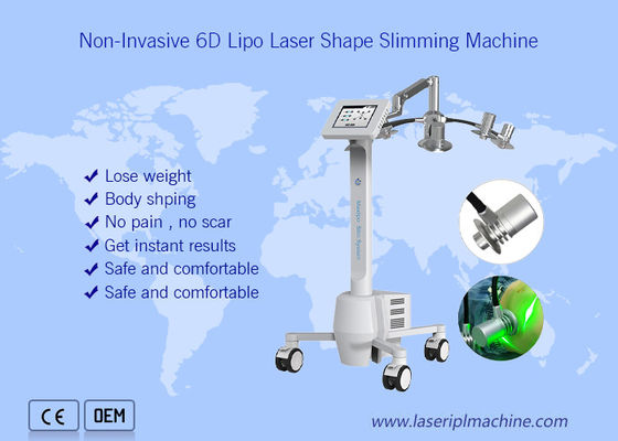 良い値段 機械全身の減量6dの美を細くする非侵略的な532nm Cryolipolysis オンライン