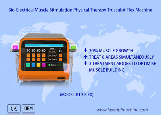 良い値段 非外科的筋肉彫刻 Ems 筋肉刺激マシン ボディ シェーピング Trusculpt Flex オンライン