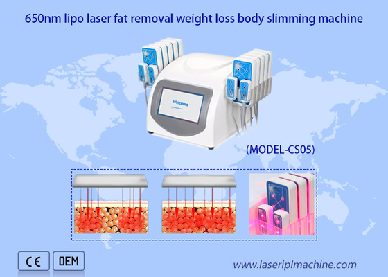 減量を細くする650nm Lipoレーザー機械Ultrashape携帯用ボディ