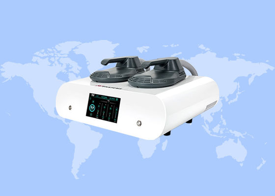 良い値段 EMS ネオ RF ボディリフト エステティック ボディ シェーピング セルライト 減少 彫刻 機械 オンライン