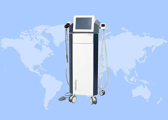 良い値段 非侵襲性 RF トルスカルプ 顔 脂肪 燃焼 身体 痩せ 機械 オンライン