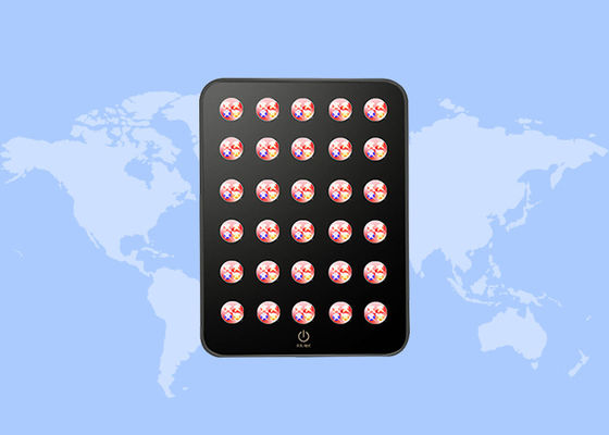 良い値段 痛みを和らげる 抗しびれ 身体治療 レッドライト療法機器パネル オンライン