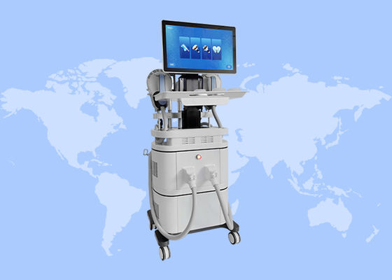 良い値段 2 イン 1 セルライト除去 EMS 筋肉構築 クリオセラピー 痩せ機 オンライン