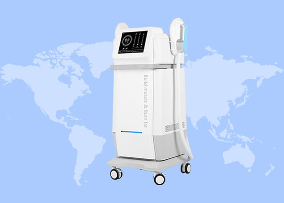 良い値段 2ハンドル 5モード エムスリン ネロ RF 30000 筋肉彫刻 脂肪燃焼機 オンライン