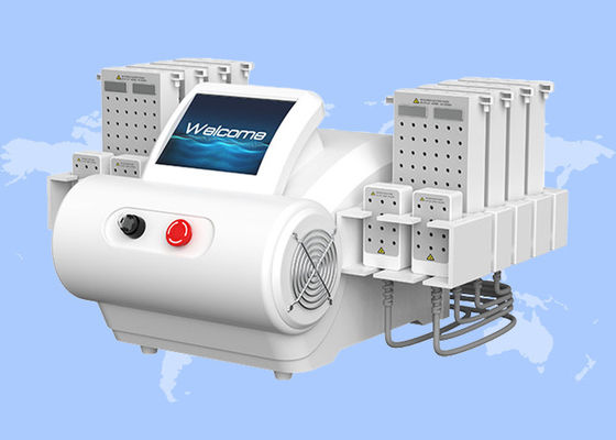 良い値段 635nm 650nm 940nm 980nm ダイオードレーザー EMS プレート 脂肪吸い 体痩せ機 オンライン