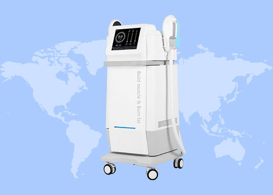 良い値段 2 ハンドル RF EMS 体重減量 深筋刺激 HI EMT マシン オンライン