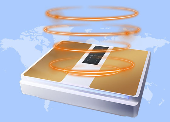 良い値段 電気熱循環治療 足の痛み 足のペムフテラヘルツ療法 オンライン