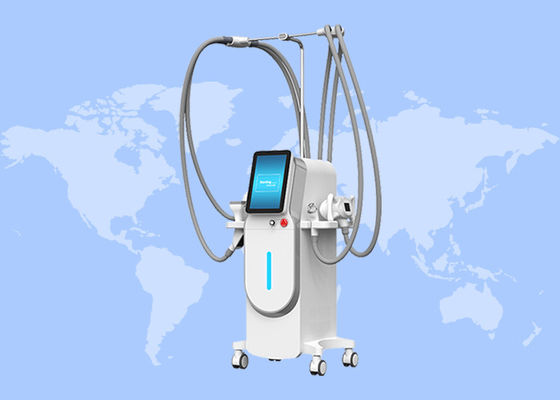 良い値段 4in1 真空Rf 40k カービテーションローラーマッサージ 肌を締めくく 毛皮造形機 オンライン