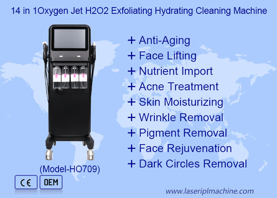 14 イン 1 酸素ジェット H2O2 剥離水分化洗浄機