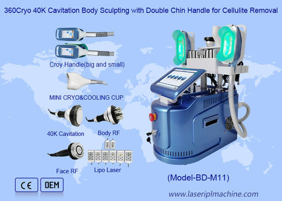 ボディ/皮のための機械を形成細くする有効な 650nm Cryolipolysis はきつく締まります