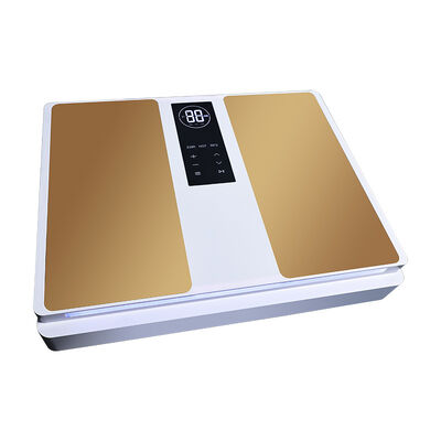 2in1 EMS テラヘルツ 医療 足のマッサージ テラヘルツ 治療機