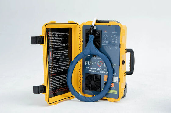 痛み療法 スポーツ 怪我 治療 Pmst ループ マグネティック 物理機器