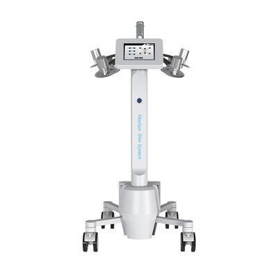 良い値段 532nm緑色航法燈Lipoレーザー機械減量のセルライトの取り外し オンライン