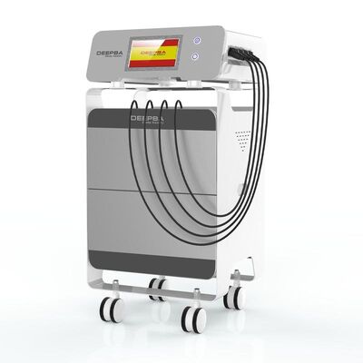 良い値段 Tecarの衝撃波機械多機能の痛みの軽減Rfの携帯用美St09 オンライン