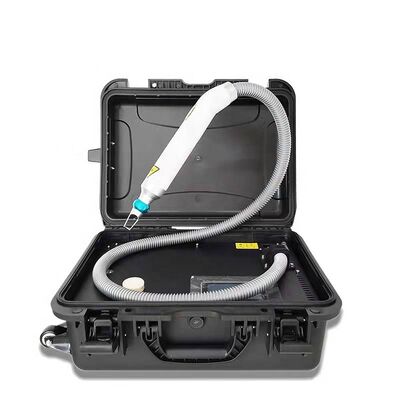 良い値段 3つの頭部QはNd Yagレーザー機械顔料の取り外しカーボン皮を転換した オンライン