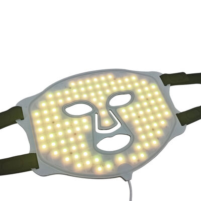 良い値段 EMSと航空郵便サービス LED光療法技術付きの家庭用美容器 オンライン