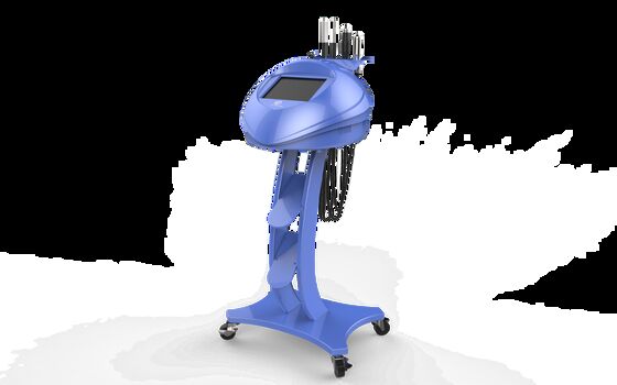 良い値段 目の持ち上がる美をきつく締める多機能Rf Microneedle機械皮 オンライン