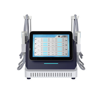 良い値段 2 in 1 クリオプレートと EMS スライミングマシン 脂肪凍結 肌の緊縮 オンライン