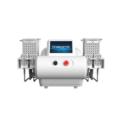 良い値段 635nm 650nm 940nm 980nm ダイオードレーザー EMS プレート 脂肪吸い 体痩せ機 オンライン