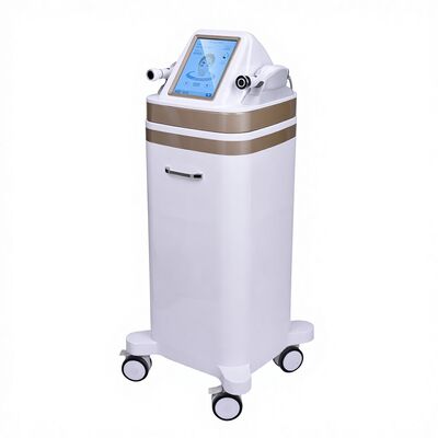 良い値段 2つのハンドル血しょう8