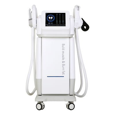 良い値段 13テスラ 電子筋肉刺激 脂肪燃焼 体彫刻機 オンライン