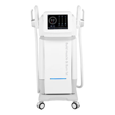 良い値段 2ハンドル 13テスラ 骨盤床運動 身体彫刻 5000W エムズマシン オンライン