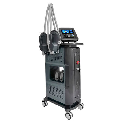 良い値段 EMS スリム 脂肪 燃焼器 身体 筋肉 構築 HI EMT 彫刻 機械 オンライン