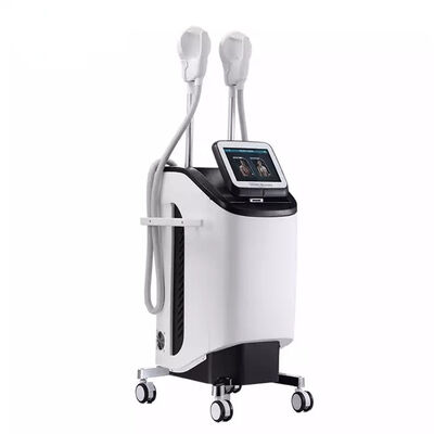 良い値段 220v 300µS EMS筋肉刺激物を細くする2.3KVAボディ オンライン