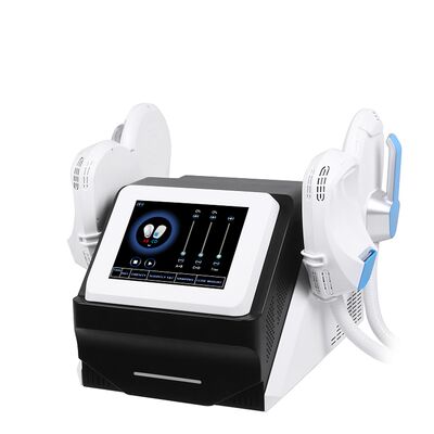 良い値段 ボディ彫刻のこんにちはEmt機械装置携帯用Emsは彫刻する オンライン