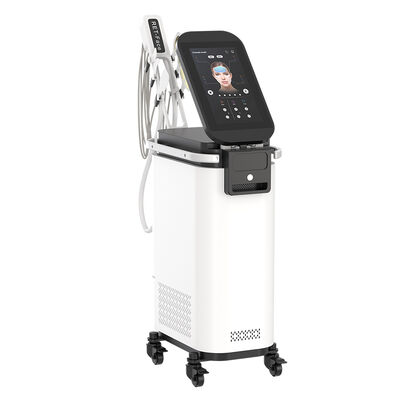 良い値段 EMRF 額 双頬 目 肌のリフティング 肌の引き締り RF EMS V 顔機 オンライン