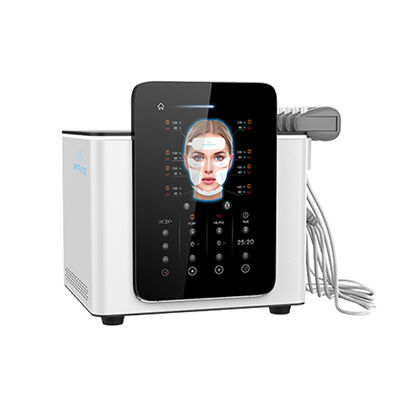 二相波刺激と高強度の電磁パルス